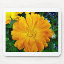 かわいらし新黄デイジー花 マウスパッド