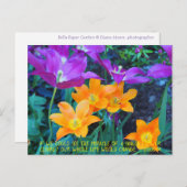 かわいらし春チューリップオレンジパープルポストカード ポストカード (正面/裏面)