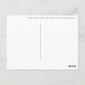 かわいらし春チューリップオレンジパープルポストカード ポストカード (裏面)