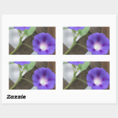 かわいらし朝顔 長方形シール (シート)