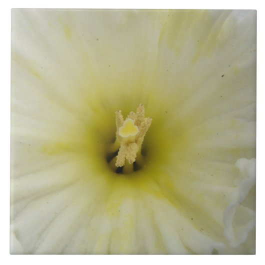 かわいらし淡い色の水瓦 タイル (正面)