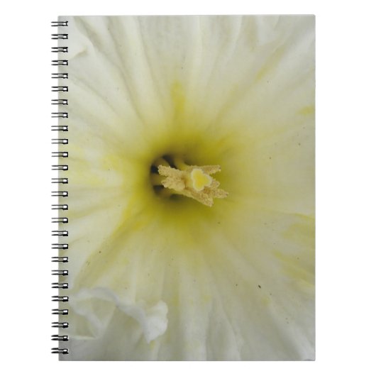かわいらし淡い色のDaffodil Notebook ノートブック (正面)