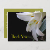 かわいらし白い結婚ユリ感謝していの花 ポストカード (正面/裏面)