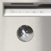 かわいらし白猫 マグネット (インサイチュ (食洗機))
