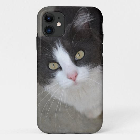 かわいらし白猫 Case-Mate iPhoneケース (裏面)