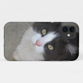 かわいらし白猫 Case-Mate iPhoneケース (裏面(横))