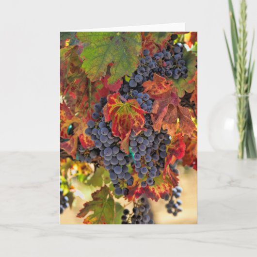 かわいらし秋ヴィネヤードワ空白のイン カード (正面)