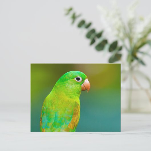かわいらし緑のオウム写真 ポストカード (スタンド正面)