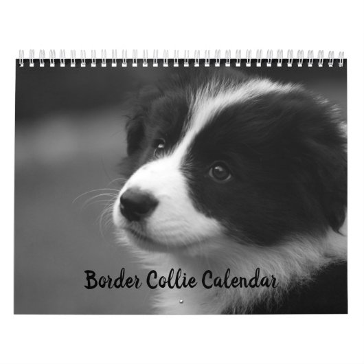 かわいらし縁どCollie Dog Calendar カレンダー (カバー)