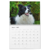 かわいらし縁どCollie Dog Calendar カレンダー (3月 2027)