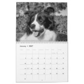 かわいらし縁どCollie Dog Calendar カレンダー (1月 2027)