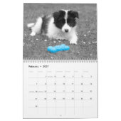 かわいらし縁どCollie Dog Calendar カレンダー (2月 2027)