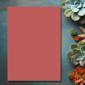 かわいらし花サボテン |サボテン結婚砂漠 招待状