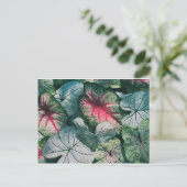 かわいらし葉 ポストカード (スタンド正面)