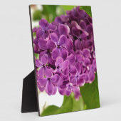 かわいらし薄紫 フォトプラーク (側面)