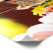 かわいらし蝶のピンク《植物》百日草自然 ポスター (角)