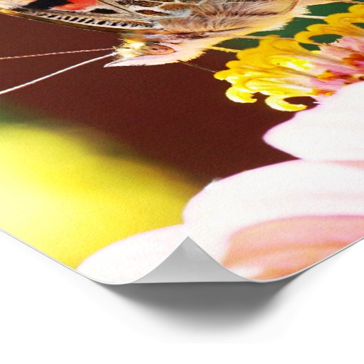 かわいらし蝶のピンク《植物》百日草自然 ポスター (角)