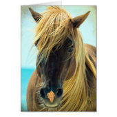 かわいらし馬 (正面)