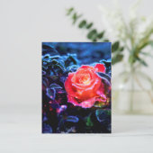 かわいらし魔法フロステッドピンクファンタジーバラガーデン ポストカード (スタンド正面)