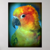 かわいらし鳥 ポスター (正面)