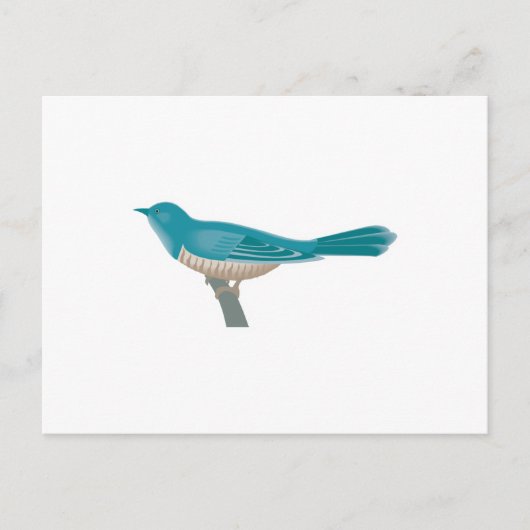 かわいらし鳥 ポストカード (正面)