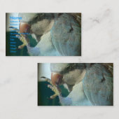 かわいらし鳥 名刺 (正面/裏面)