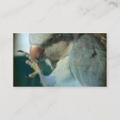 かわいらし鳥 名刺 (裏面)