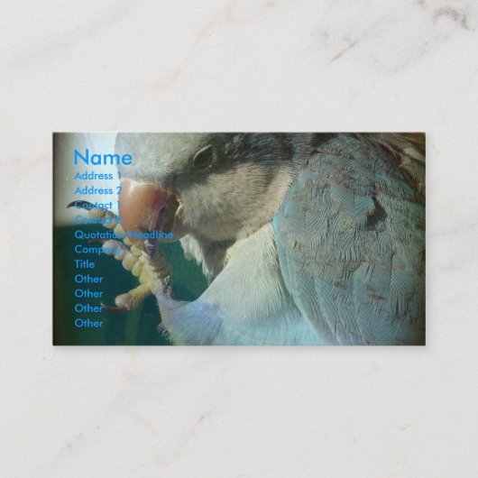 かわいらし鳥 名刺 (正面)