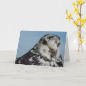 かわいらし鳩 カード (黄色い花)