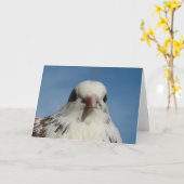 かわいらし鳩 カード (黄色い花)