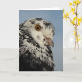 かわいらし鳩 カード (黄色い花)