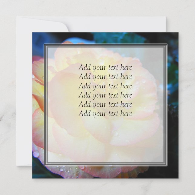 かわいらし黄ベゴニア (正面)