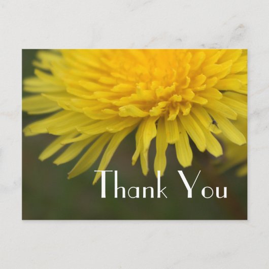 かわいらし黄色の野感謝してい花団子 ポストカード (正面)