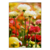 かわいらし (正面)