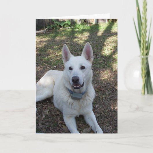 かわいらし カード (正面)