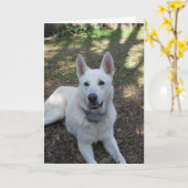 かわいらし カード (黄色い花)