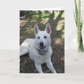 かわいらし カード