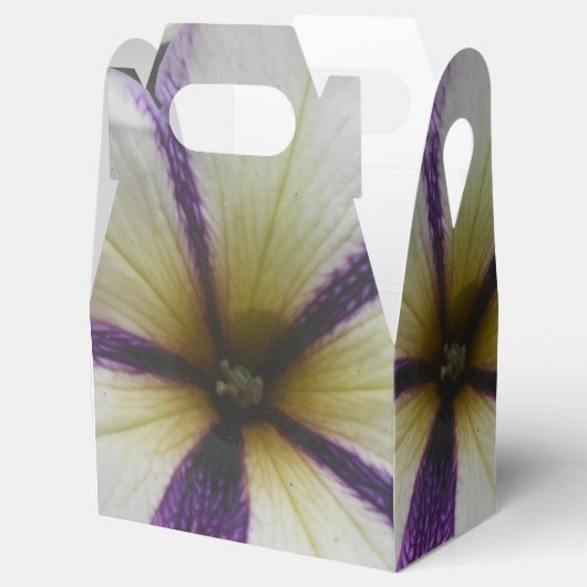 かわいらし フェイバーボックス (オープン)