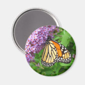 かわいらし（昆虫）オオカバマダラ、モナーク～磁石 マグネット (正面/裏面)