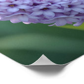 かわいらしBlue Jay薄紫枝に立つ ポスター (角)