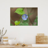 かわいらしIvyleaf Morning-Gloryポスター ポスター (キッチン)