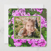 かわいらしPhlox Easterフォトカード シーズンカード (正面)