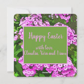 かわいらしPhlox Easterフォトカード シーズンカード (裏面)