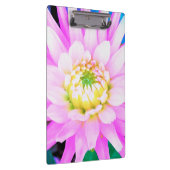 かわいらしPink、White、Yellow Cactus Dahliaマクロ クリップボード (右)