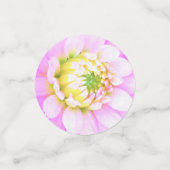 かわいらしPink、White、Yellow Cactus Dahliaマクロ コンフェッティ (スモール正面)