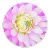 かわいらしPink、White、Yellow Cactus Dahliaマクロ セラミックノブ (正面)