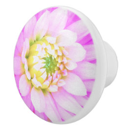かわいらしPink、White、Yellow Cactus Dahliaマクロ セラミックノブ
