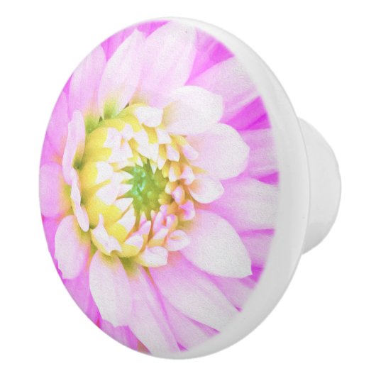かわいらしPink、White、Yellow Cactus Dahliaマクロ セラミックノブ (右)