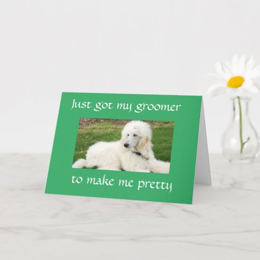 「かわいらしPOODLE」は「ハッピーバースデー」カード カード (小さな植物)