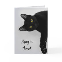 かわいパーソナライズされたい黒猫が元気に